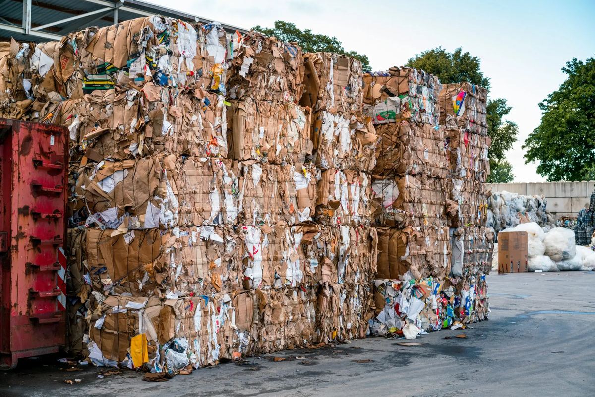 Balas de papel y cartón recuperados, listas para el reciclaje